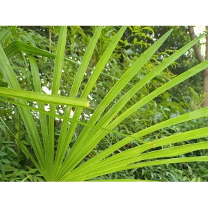 新开业的KTV如何快速增加客流量