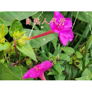 郑州个人申请自然人代开在税收优惠园区内的优惠政策