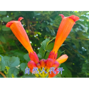 开封在税收优惠园区内申请自然人代开有优惠政策,开封自然人代开优惠税率