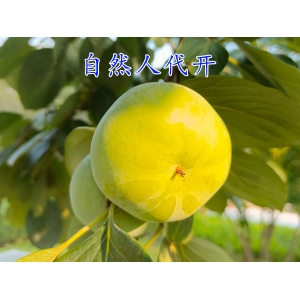河南都有哪些税收优惠园区？