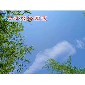 河南供应链公司在税收优惠园区注册需要满足哪些条件？