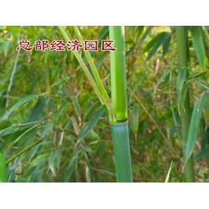 郑州税收优惠园区注册的供应链公司如何进行税务筹划？